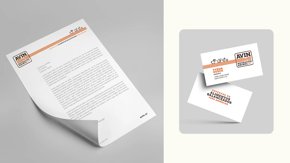 AVIN Identity — imagen 6